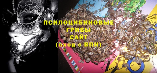 эйфоретик Горнозаводск