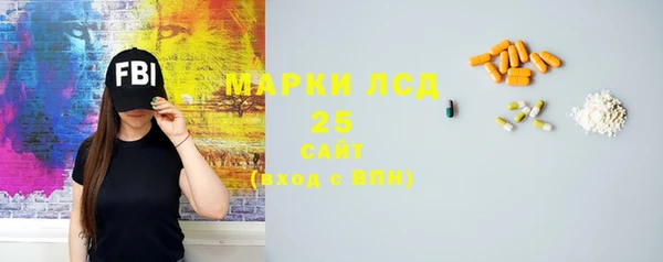 ПСИЛОЦИБИНОВЫЕ ГРИБЫ Сосновый Бор