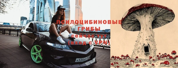 герыч Арсеньев