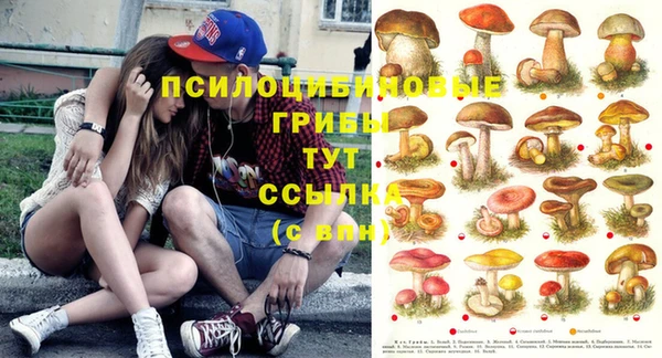 герыч Арсеньев