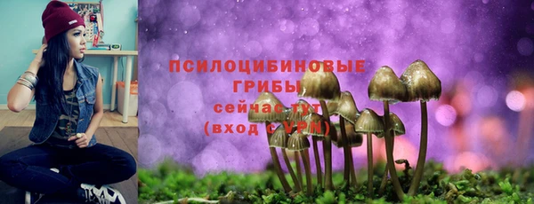 стафф Армянск