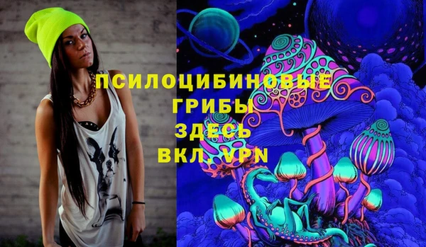 герыч Арсеньев