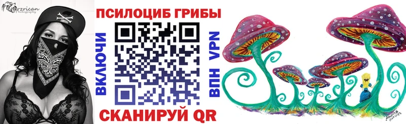 Галлюциногенные грибы MAGIC MUSHROOMS  купить наркоту  Рошаль 